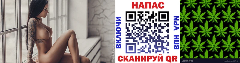 Псилоцибиновые грибы Динская