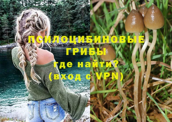 круглые Арсеньев