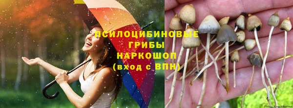 гидра Балахна