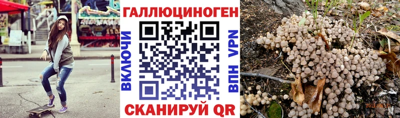 Псилоцибиновые грибы GOLDEN TEACHER  как найти   Динская 
